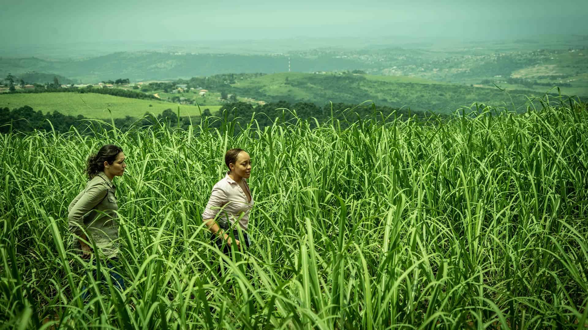 Kim Engelbrecht Plays Reyka And Thando Thabethe Plays Nandi In M Net's REYKA S1.